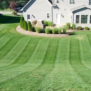A&A landscaping Services