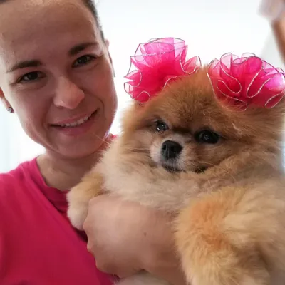 Smart Pet Academy