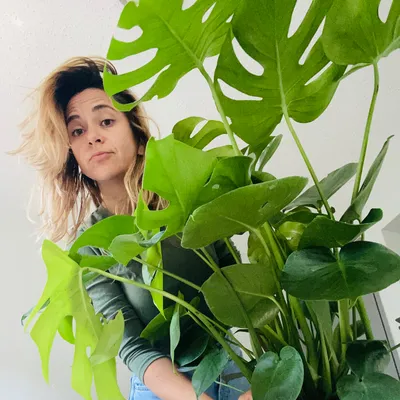 The green touch movement
