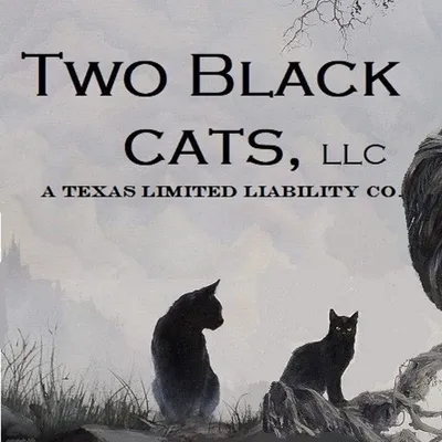Two Black Cats