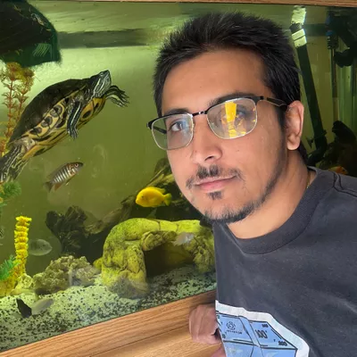 SB aquarium designs