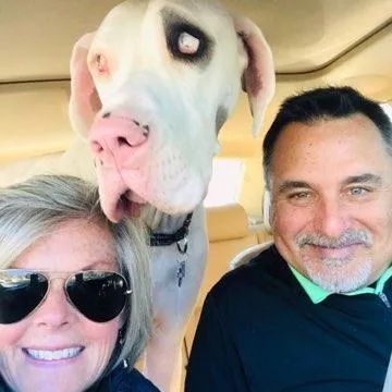 The Pet Sitting Team