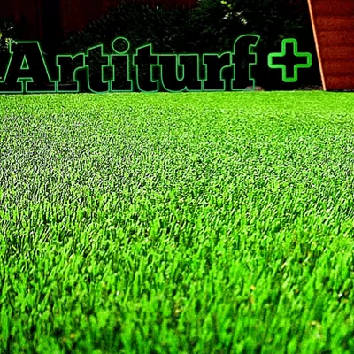 ArtiTurf Plus