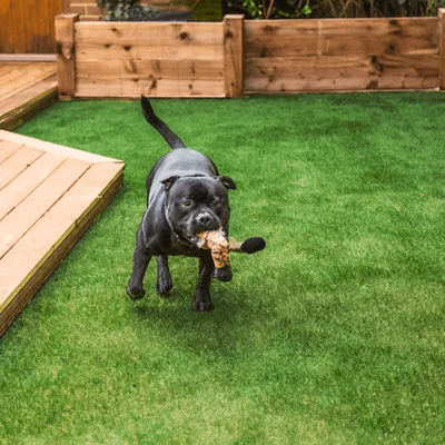 Greenland Artificial Grass