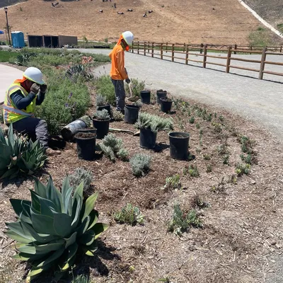 Chay Landscaping & Construction