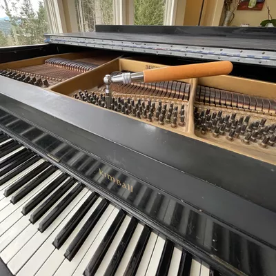 Sepiano