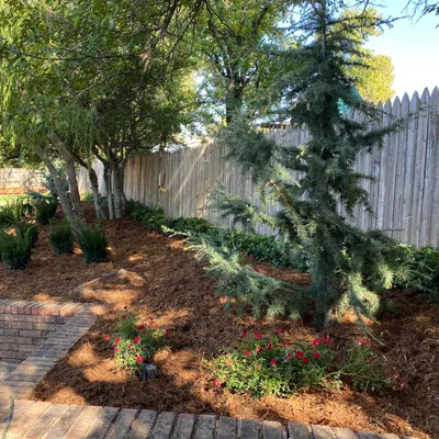 Miller’s Lawns and Scapes