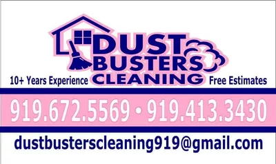 Dust Busters Pro Cleaning