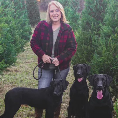 Southern Belle Retrievers
