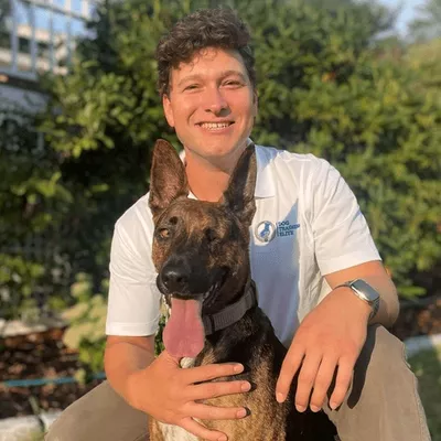 Dog Training Elite