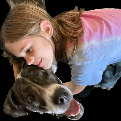 Reactive K9 Academy