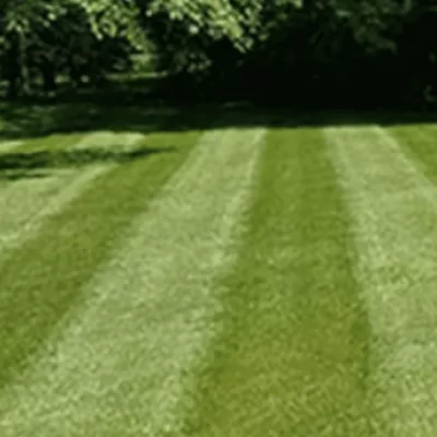 Allstar Lawns llc