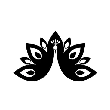 Lucid Vida LLC