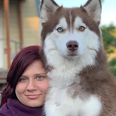 Timber And Co Dog Training