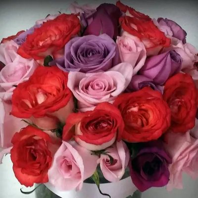 My Obsession Floral Svs
