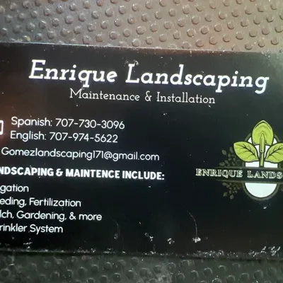 Enrique Landscaping and installation
