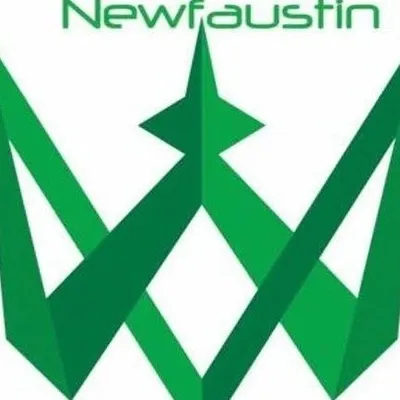 Newfaustin Transportation