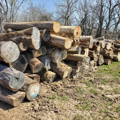 Legacy Timber LLC