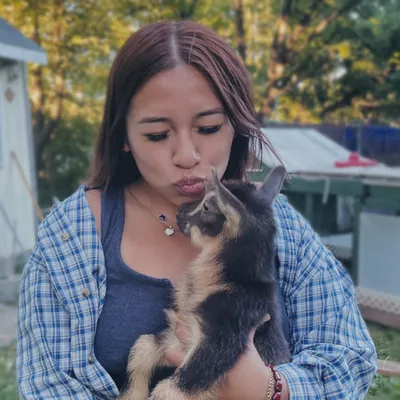 Luxury NJ Dog & Cat Nanny