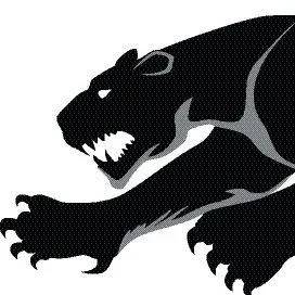Panthera Technologies Inc