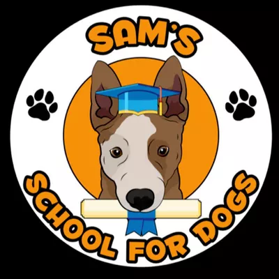 Sams School For Dogs