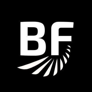 BF Remodeling