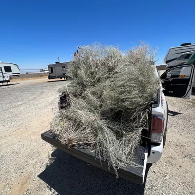 Patty's landscaping
