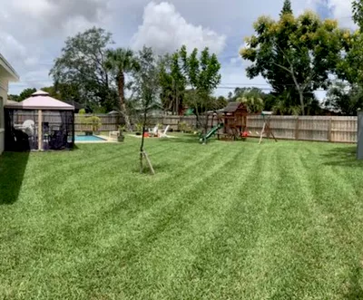 Murray's Lawn and Garden
