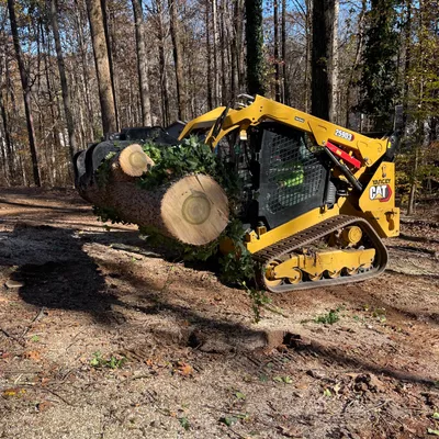 Cervantes Tree Services