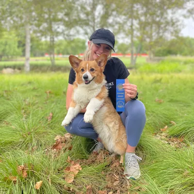 Peak Performance Dog Training