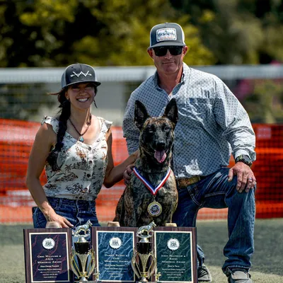 Westberg Working Dogs