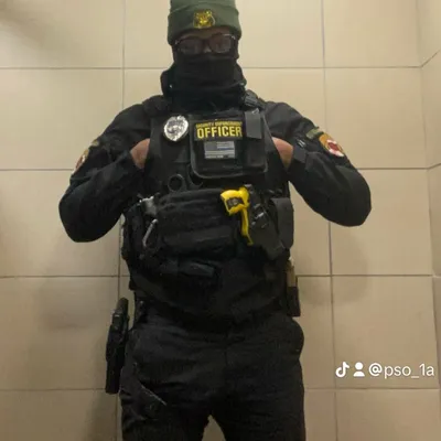 D.S.T Security consultant