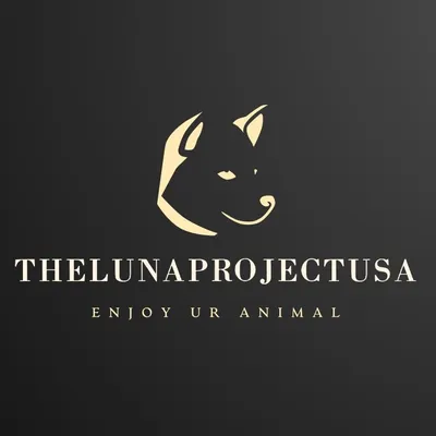 Thelunaprojectusa