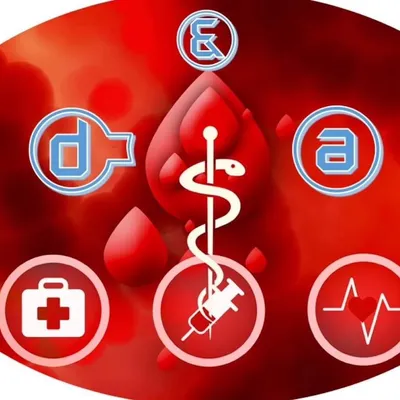 D&A Emergency Services Training & Consulting
