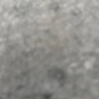 Ol