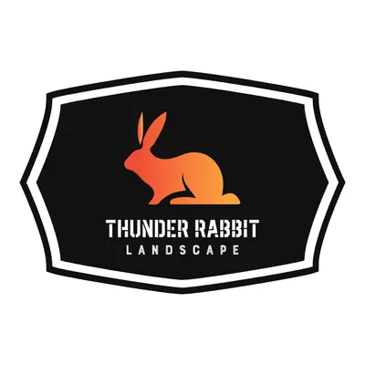 Thunder Rabbit