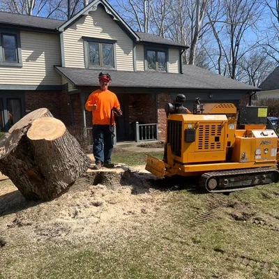Stone stump removal