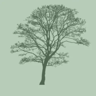 GreenGrove landscaping