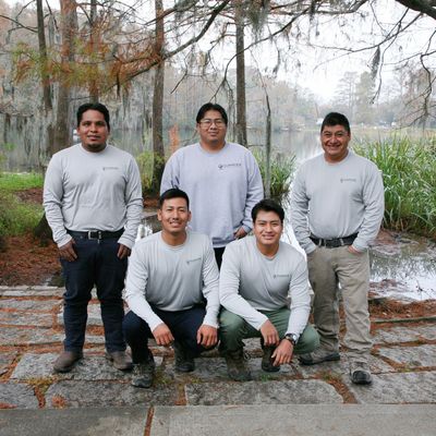 clearview landscaping llc