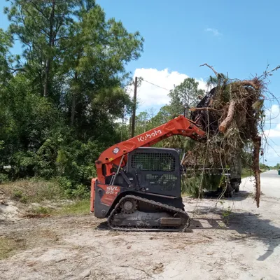 Boling Tree LLC