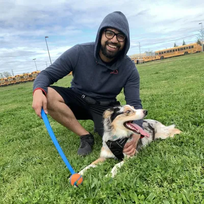 Pawsitive Dog Training