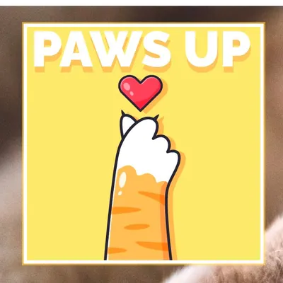 Paws Up