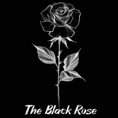 The Black Rose