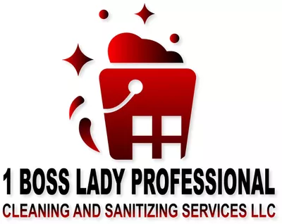 1 BOSS LADY PROFESSIONAL CLEANING SERVICES.