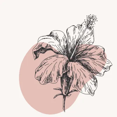 Coreland - Flowers by Jenny