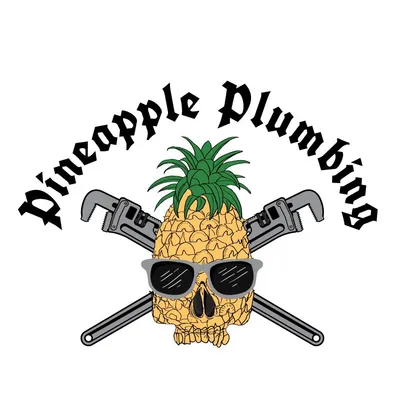 Pineapple plumbing llc