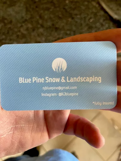 Blue pine snow & landscaping