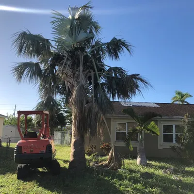 Hurricane Machinery and Tree