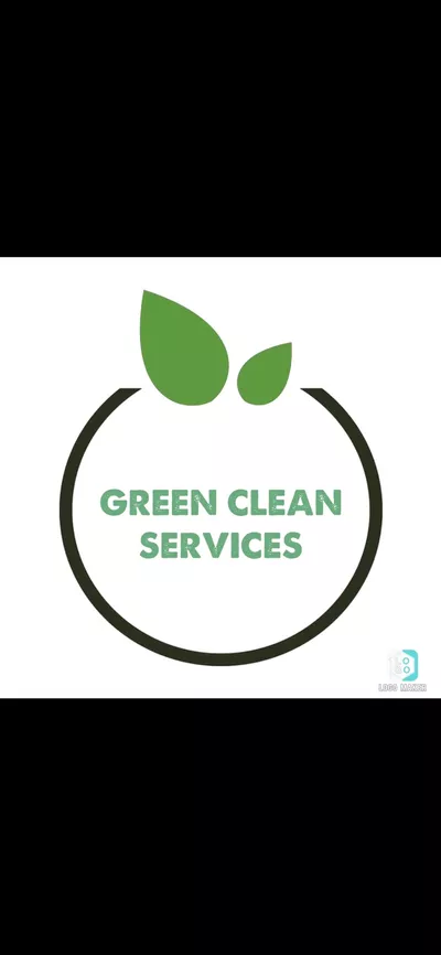 VR Green Cleaning Palm