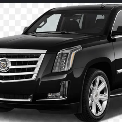Elegant rides